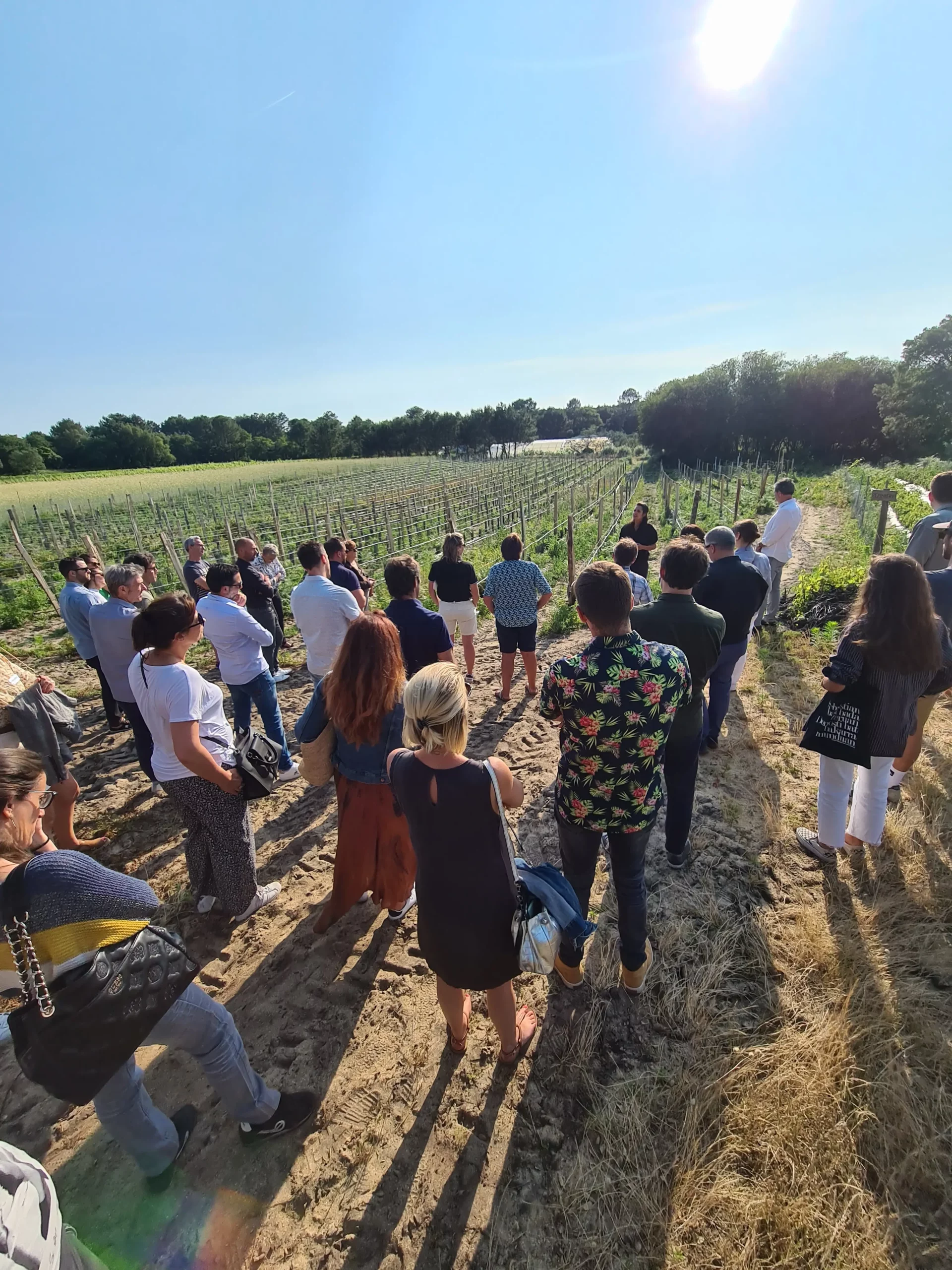 business-meeting-club-rebota