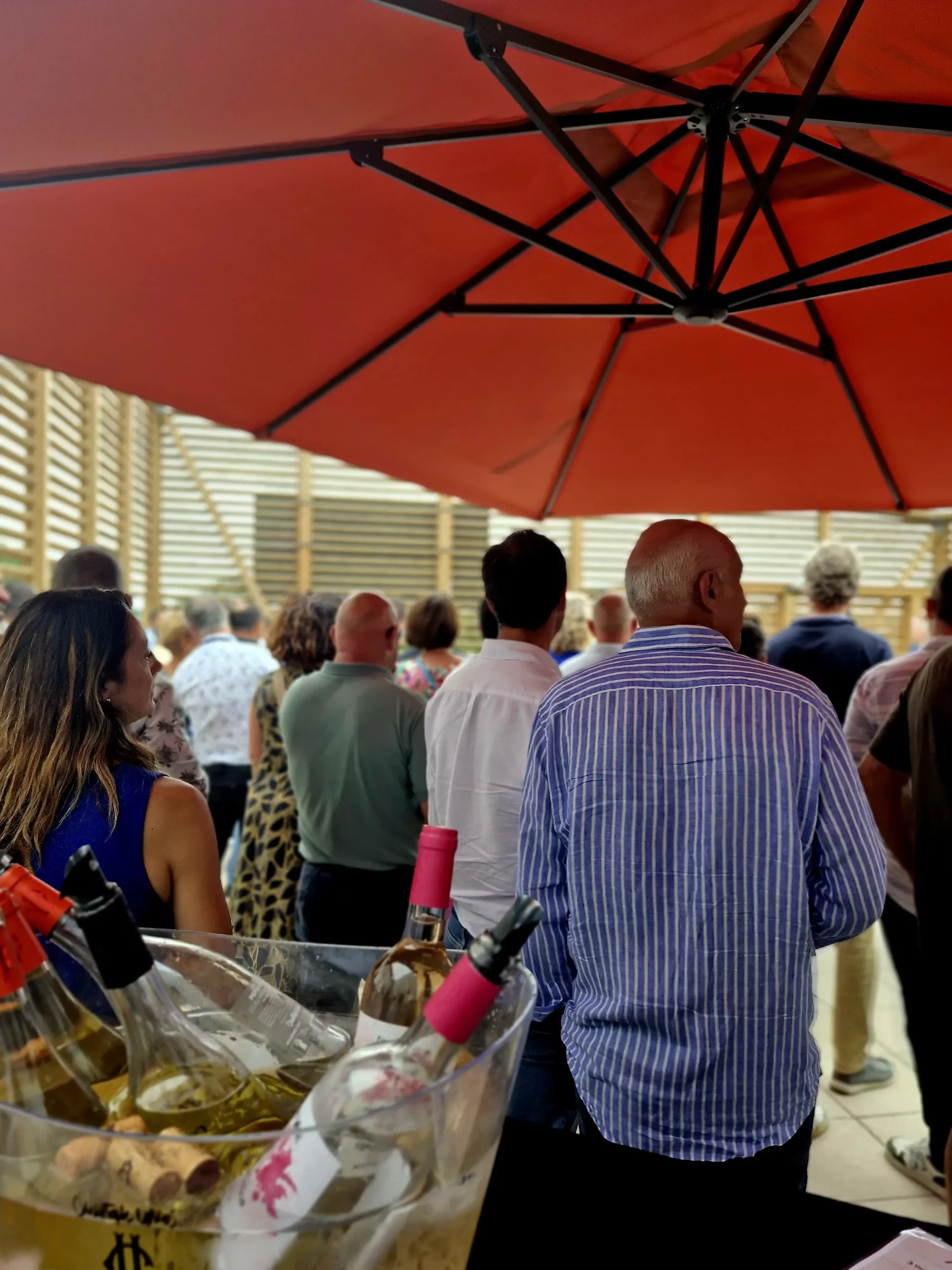 degustation-vin-club-rebota