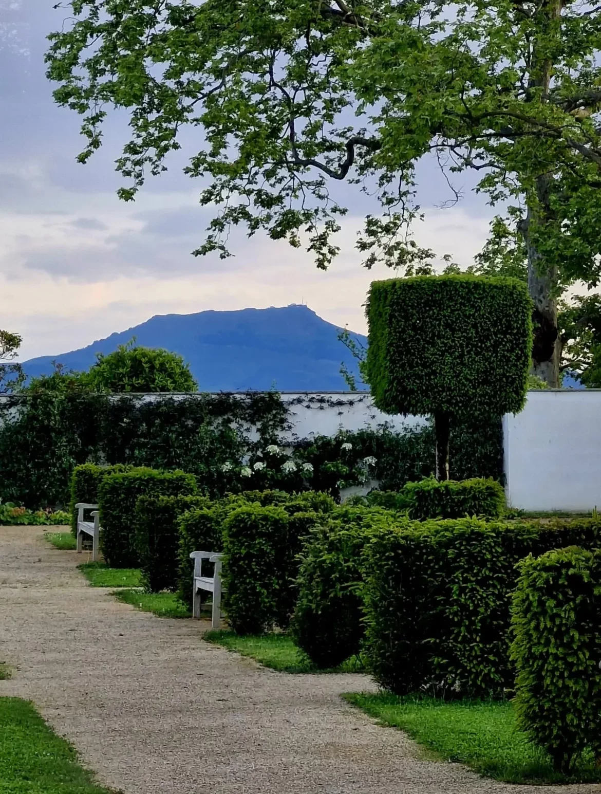 lieu-reseau-entreprises-club-rebota