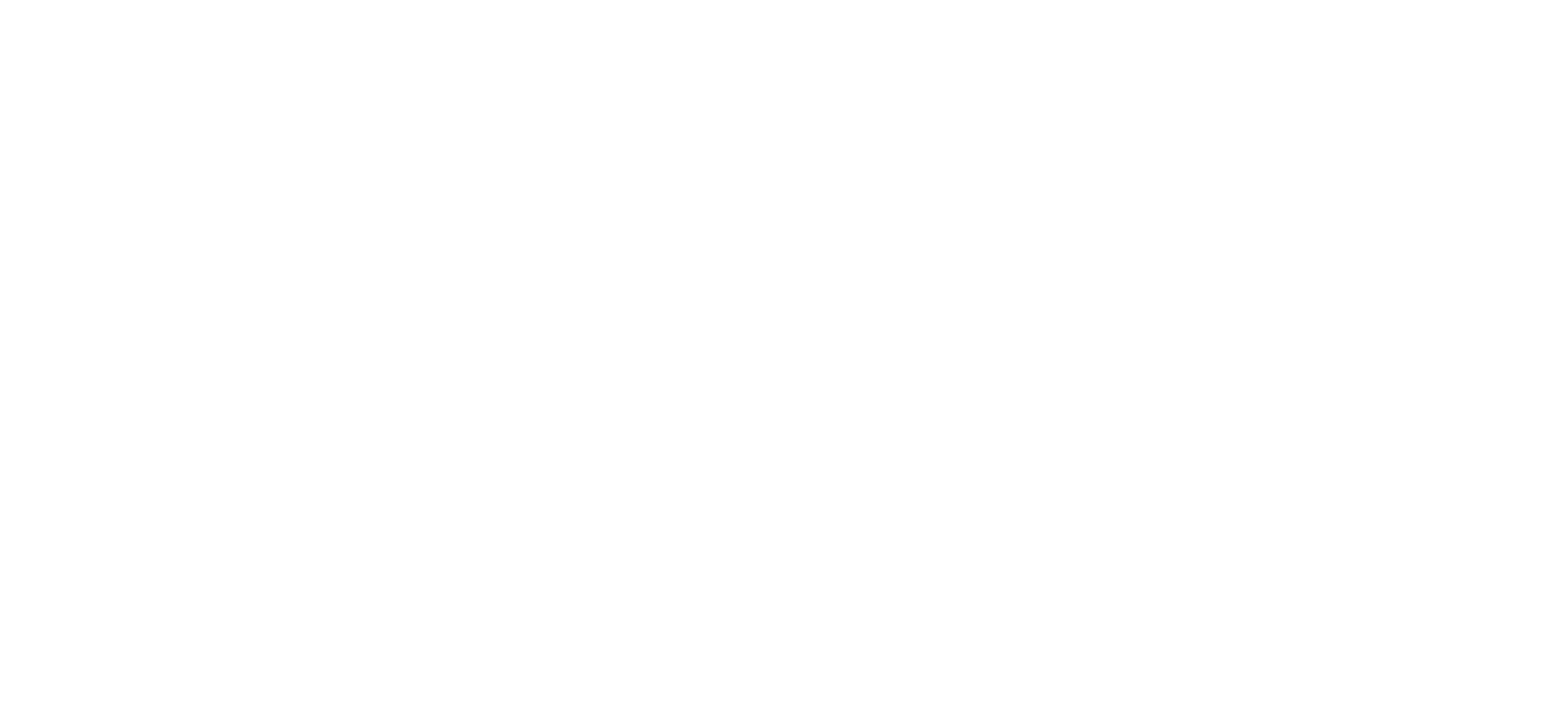 Logo de Pelote passion evenements