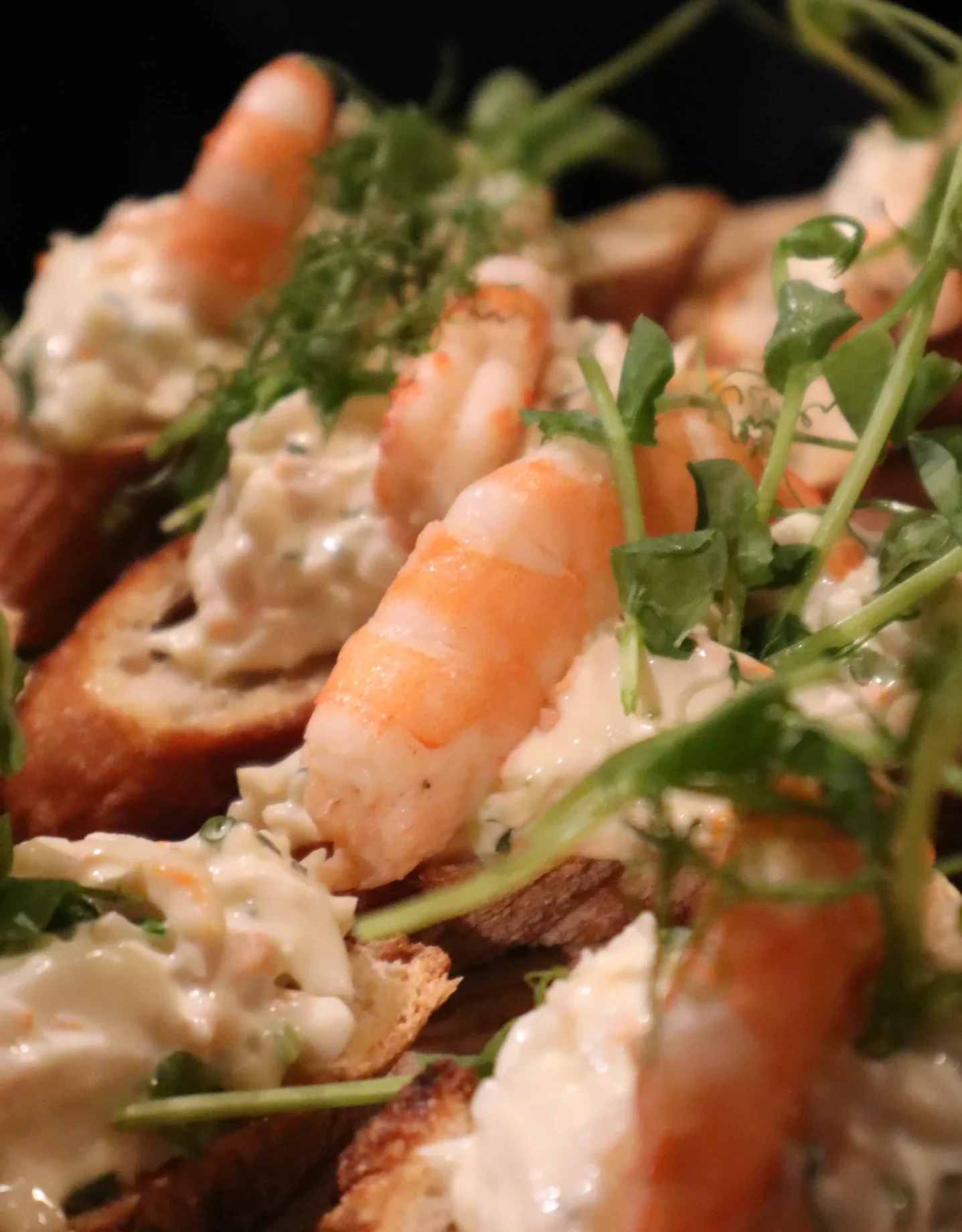 soiree-tapas-club-rebota-hossegor