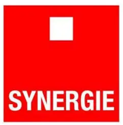 logo-synergie-membre-kantxa-club-rebota-pelote-passion