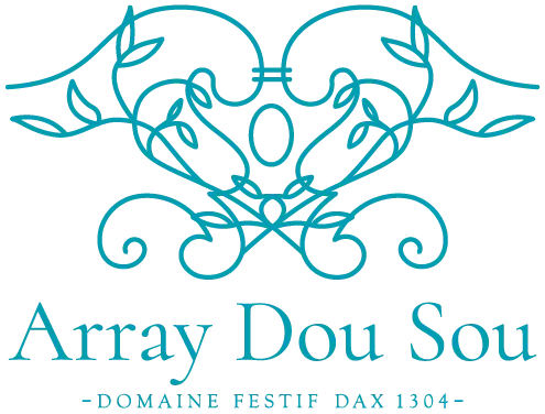 logo-domaine-aray-dou-sou-pelote-passion